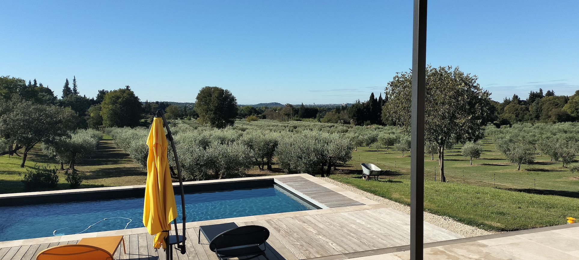 Pool view over olive groves